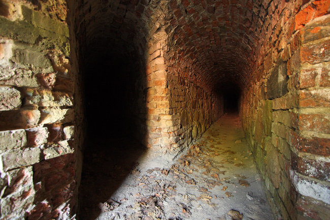 Wycieczki Szlakiem Fortyfikacji Dolnej Wisły