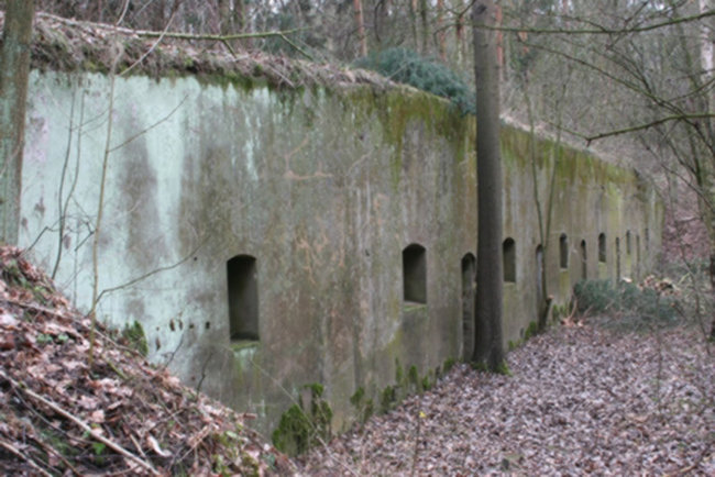 Wycieczki Szlakiem Fortyfikacji Dolnej Wisły