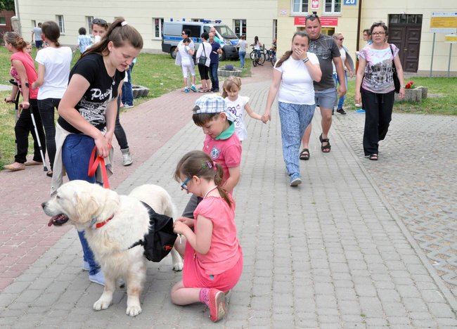 Bardzo rodzinny piknik w Katoliku