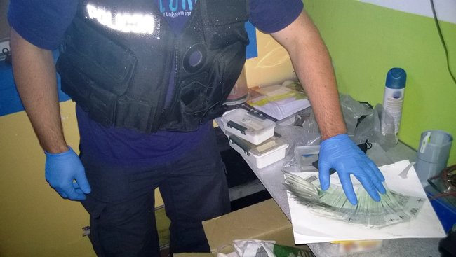 Zlikwidowana plantacja konopi