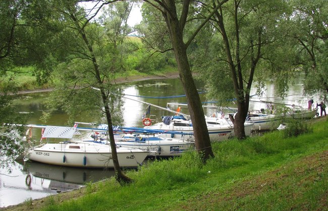 Prawdziwi żeglarze w Świeciu