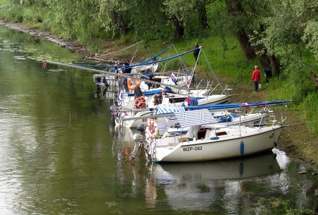 Prawdziwi żeglarze w Świeciu