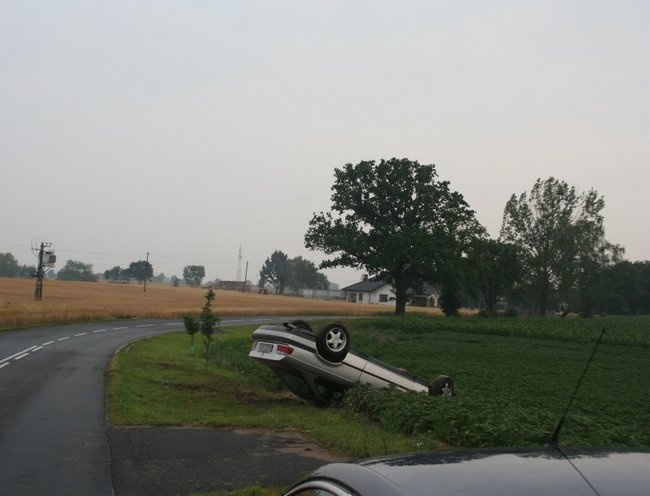 Dachowanie w Niewieścinie