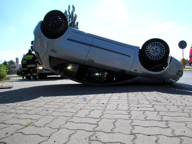 Dachowała w Przechowie