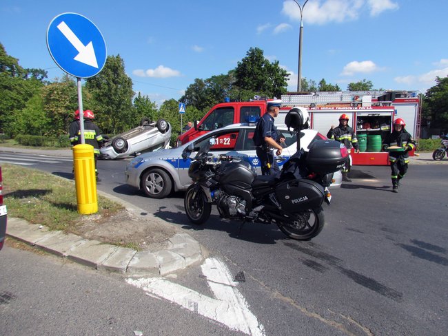 Dachowała w Przechowie