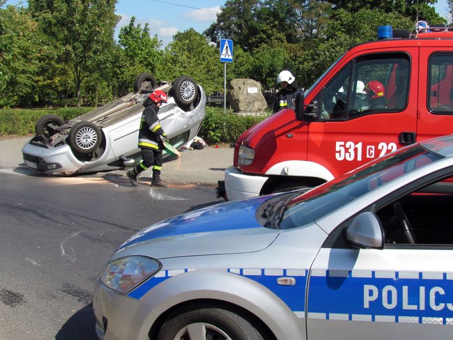 Dachowała w Przechowie