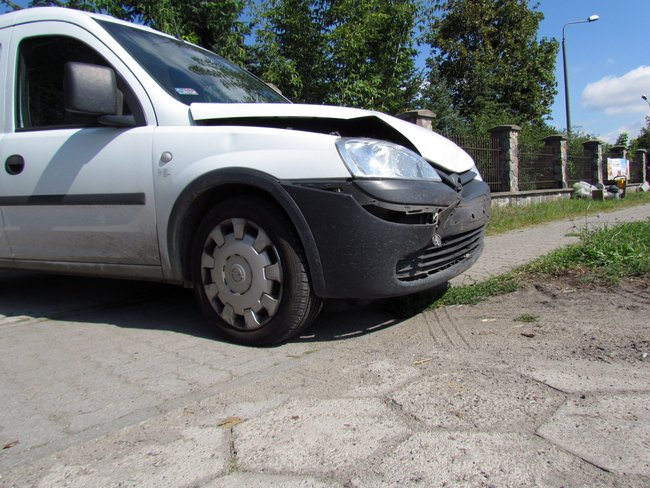 Dachowała w Przechowie