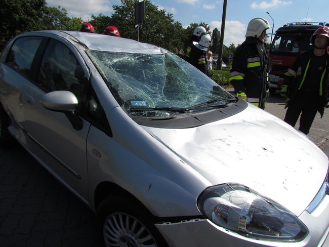 Dachowała w Przechowie