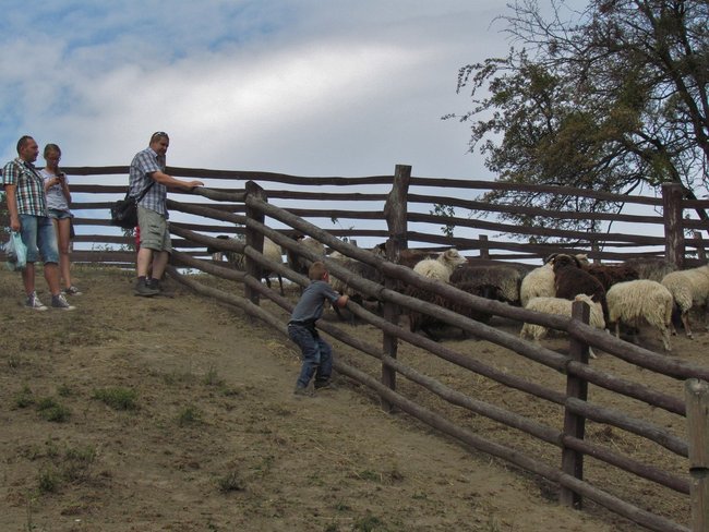 Jaki był X Festiwal Smaku?