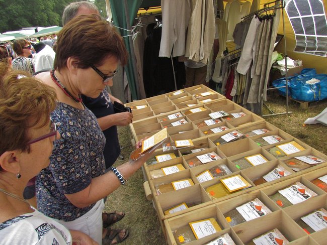 Jaki był X Festiwal Smaku?