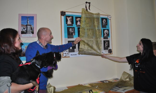 Do biblioteki po? psiaka!