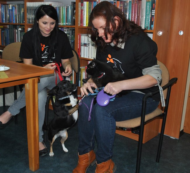 Do biblioteki po? psiaka!