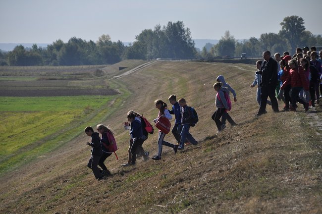 Dzieci wypuszczały bażanty