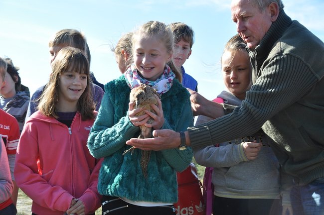 Dzieci wypuszczały bażanty