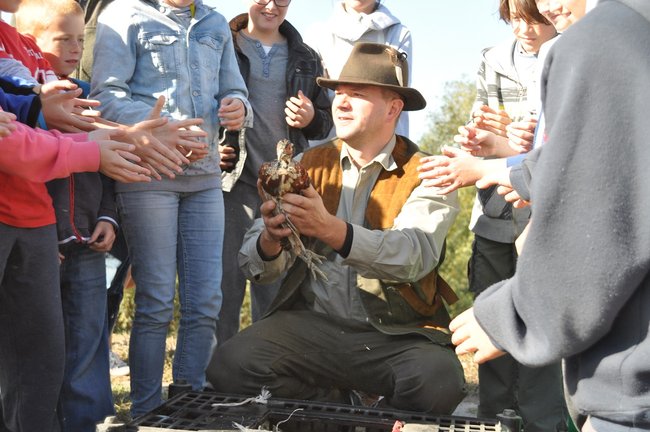 Dzieci wypuszczały bażanty