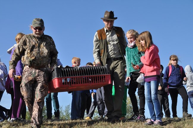 Dzieci wypuszczały bażanty