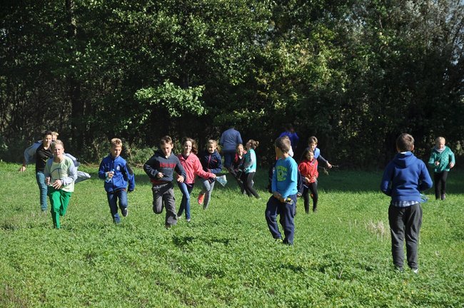 Dzieci wypuszczały bażanty