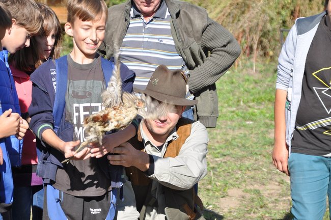 Dzieci wypuszczały bażanty