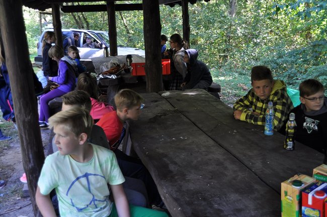 Dzieci wypuszczały bażanty