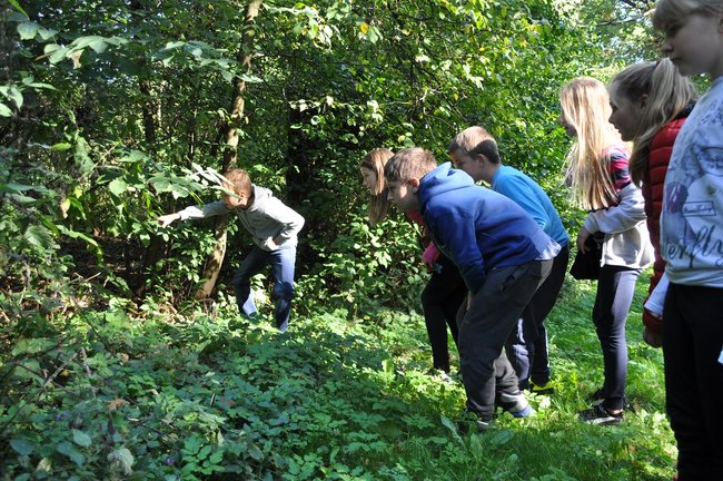 Dzieci wypuszczały bażanty