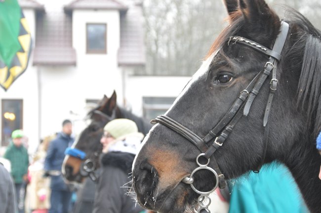 Fotorelacja z Orszaku Trzech Króli 2016
