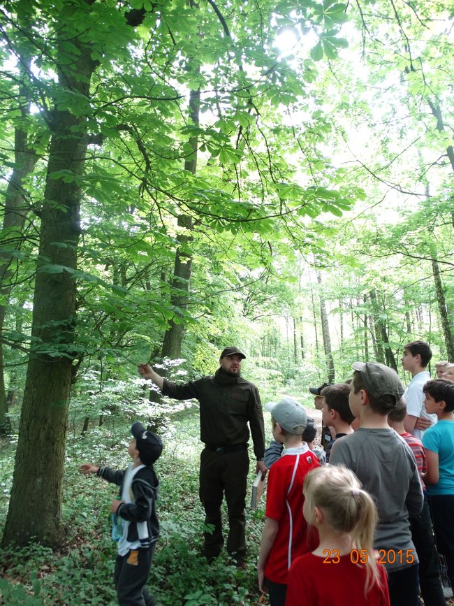 Aktywni mieszkańcy ożywiają Mniszek i Wielkie Stwolno