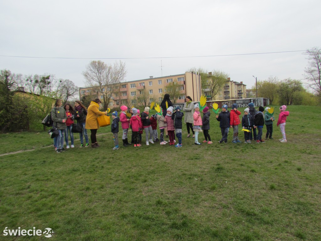 Akcja Żonkile
