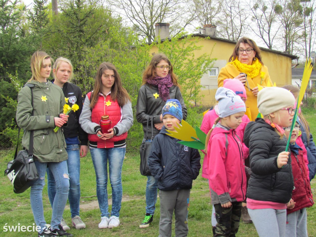 Akcja Żonkile