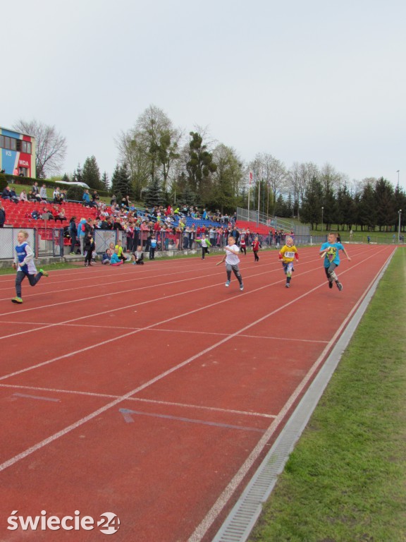 Festiwal Sztafet w Świeciu