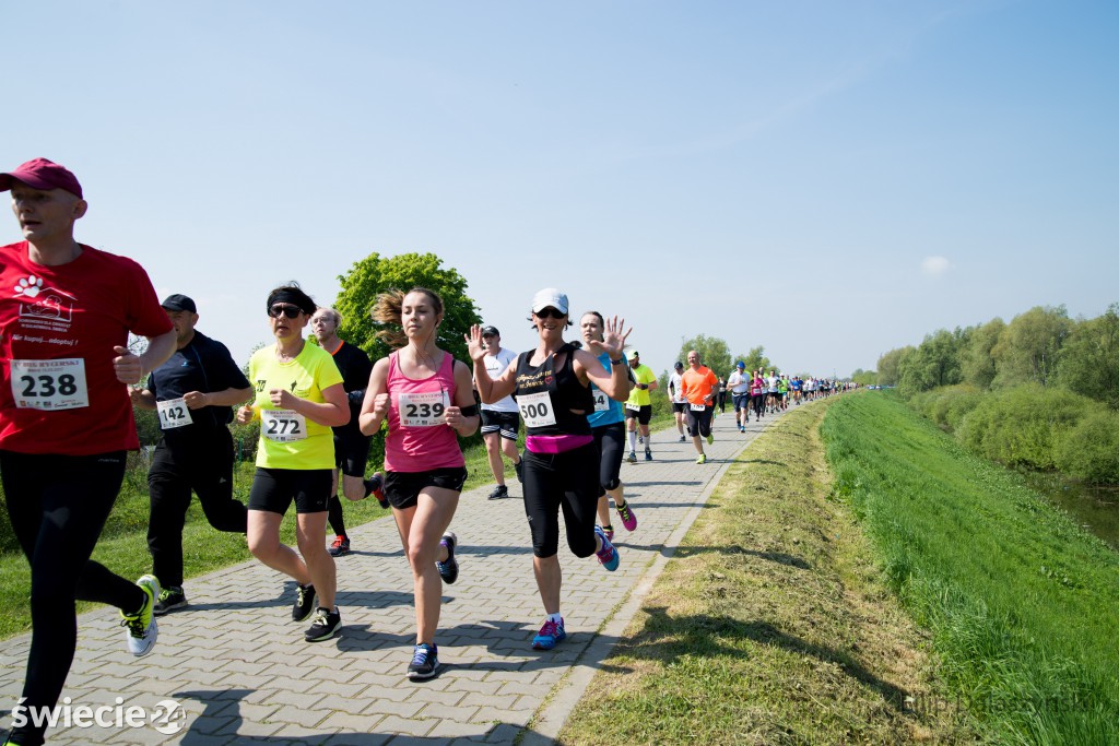 IV Bieg Rycerski w Świeciu