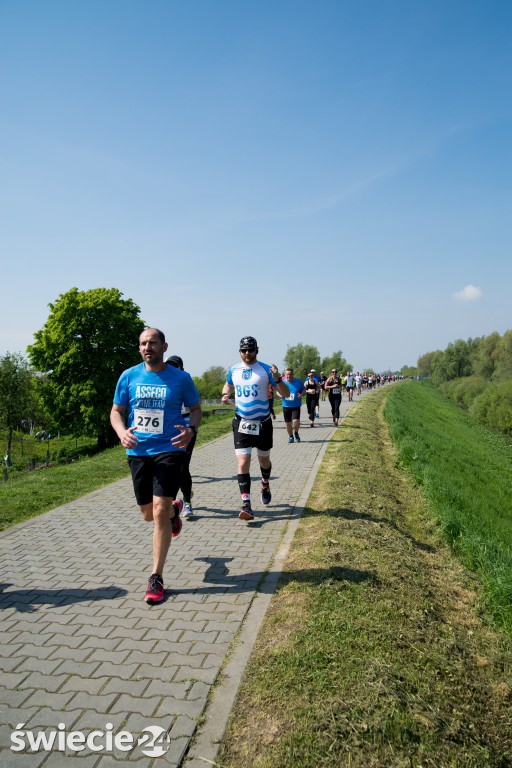 IV Bieg Rycerski w Świeciu