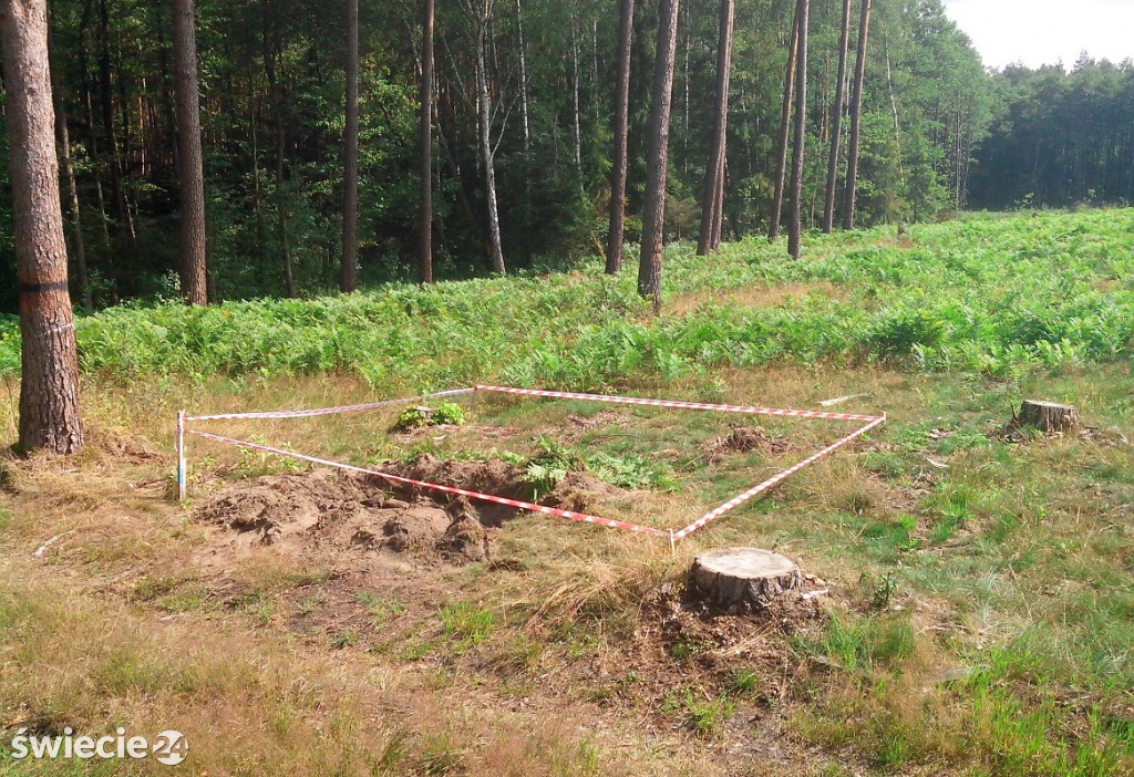 Pociski na pasie pod drogę S-5