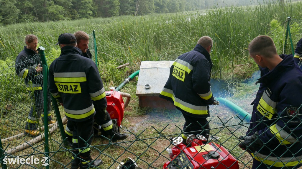 Strażacy gasili las koło Osia. Zobacz zdjęcia