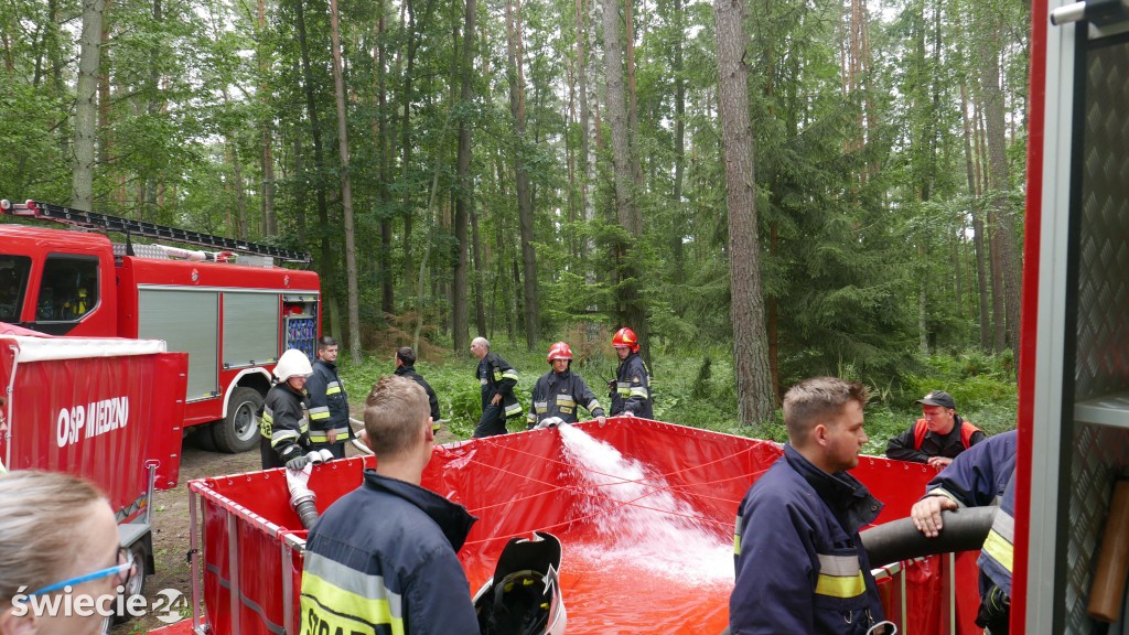 Strażacy gasili las koło Osia. Zobacz zdjęcia