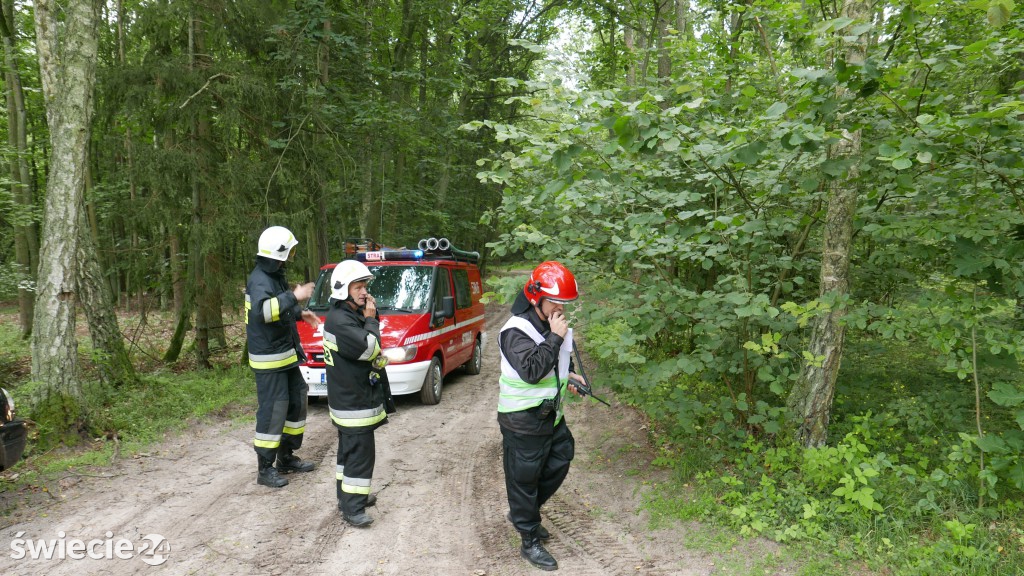 Strażacy gasili las koło Osia. Zobacz zdjęcia