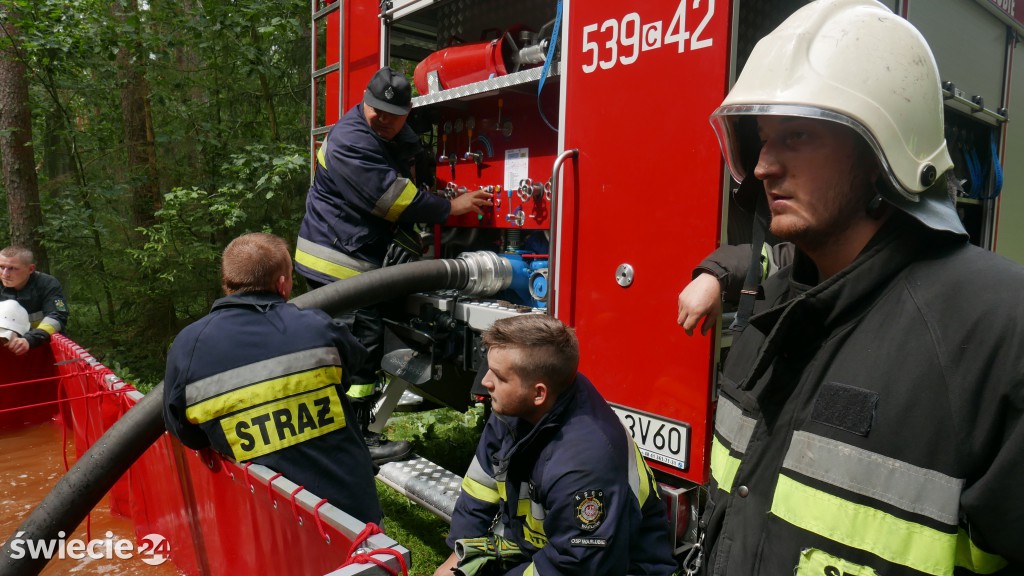 Strażacy gasili las koło Osia. Zobacz zdjęcia