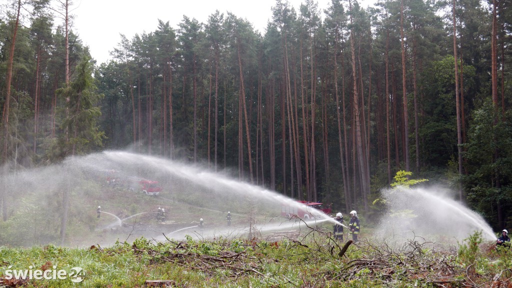 Strażacy gasili las koło Osia. Zobacz zdjęcia