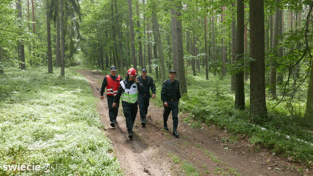 Strażacy gasili las koło Osia. Zobacz zdjęcia