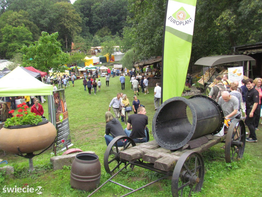 Festiwal Smaku w Grucznie za nami