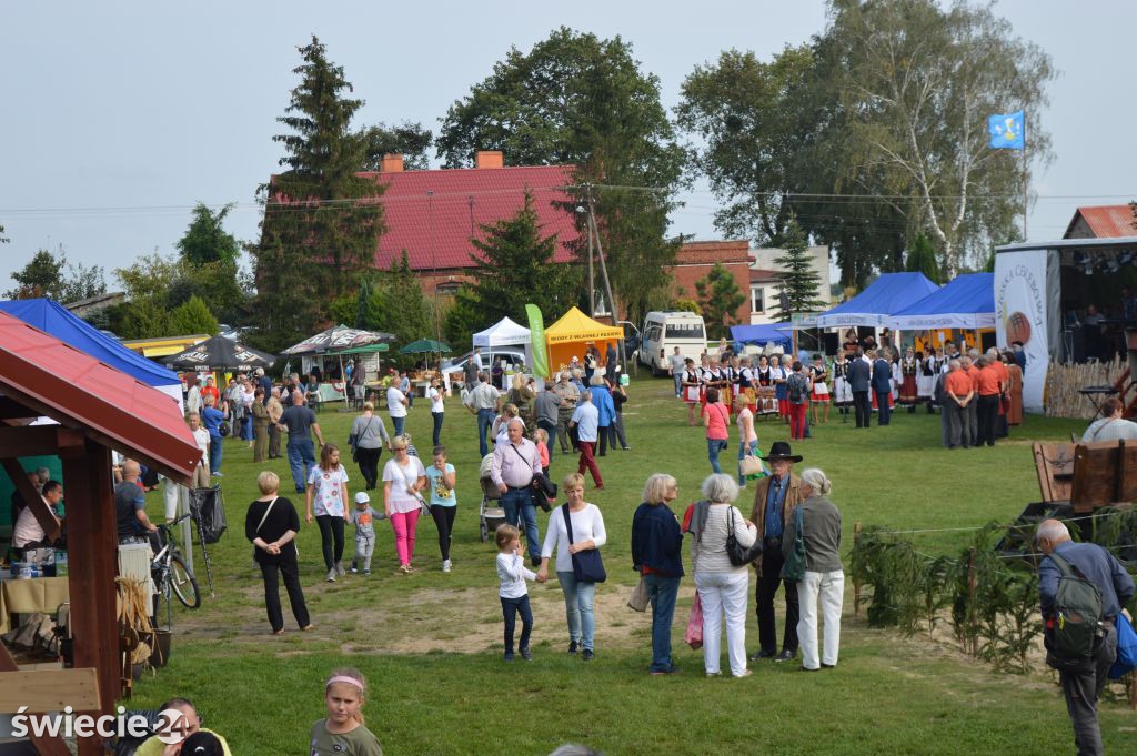 Festiwal Chleba w Janiej Górze