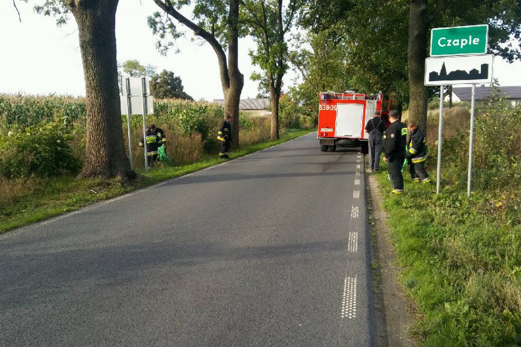 Strażacy z miasta i gminy sprzątali świat