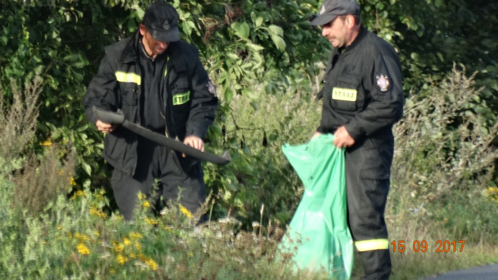Strażacy z miasta i gminy sprzątali świat