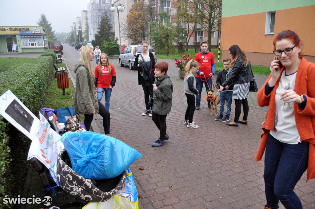 Zbiórka karmy dla psów ze schroniska