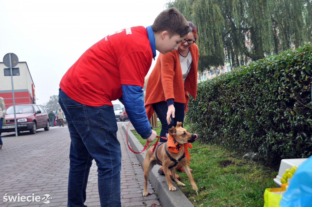 Zbiórka karmy dla psów ze schroniska