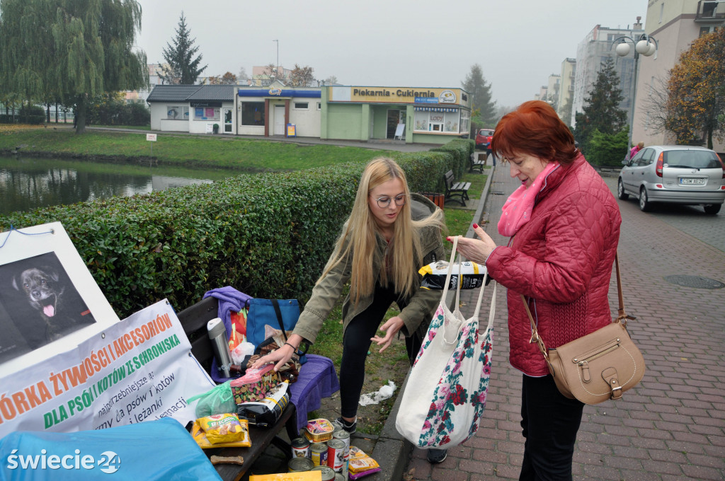 Zbiórka karmy dla psów ze schroniska