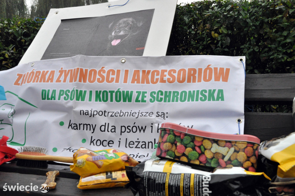 Zbiórka karmy dla psów ze schroniska