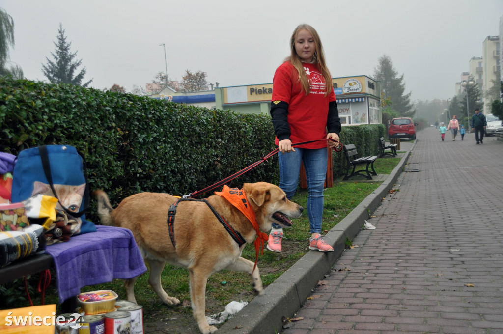 Zbiórka karmy dla psów ze schroniska