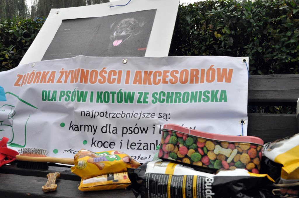 Zbierali karmę dla psów ze schroniska