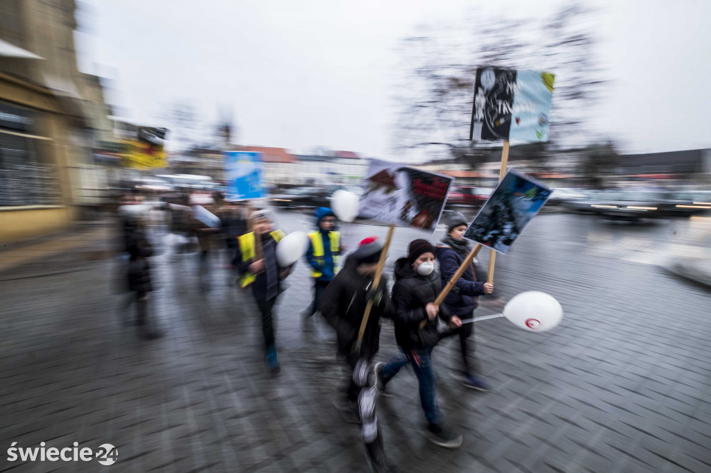 Dzień Czystego Powietrza - akcja SP 7