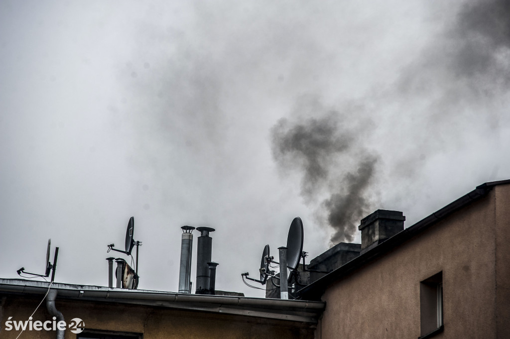 Dzień Czystego Powietrza - akcja SP 7